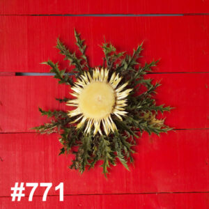 #771 Flor Eguzkilore PEQUEÑA